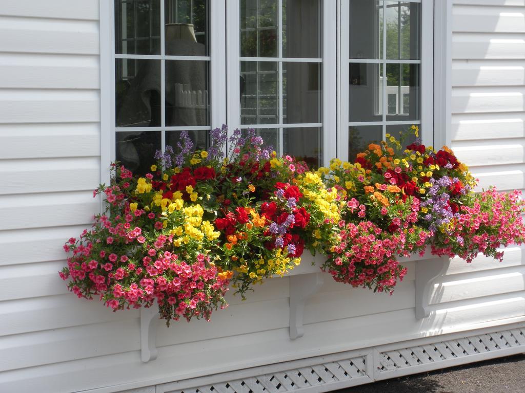 Côté's Bed&Breakfast Grand Falls Exterior foto